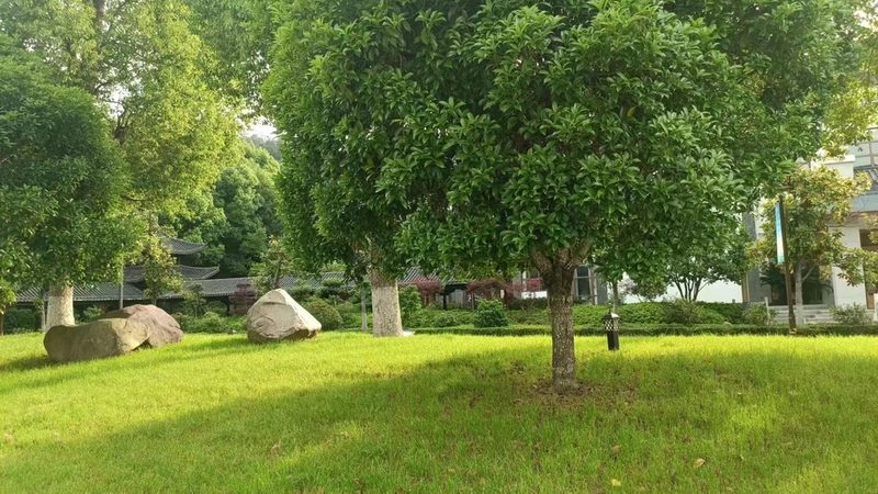 立体绿化模块：规格尺寸，打造绿色空间新标准**