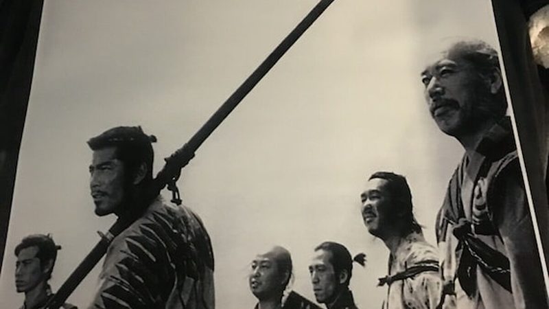 会议室植物租摆：如何打造绿色办公空间**