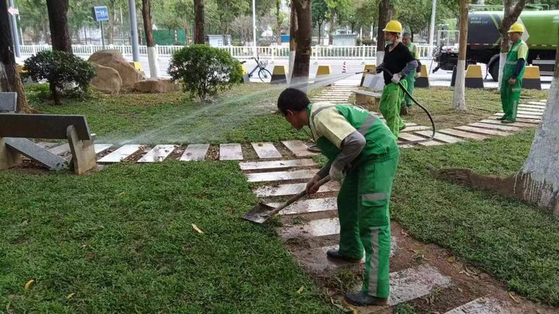 小区道路绿化美化，如何打造生态宜居空间？**