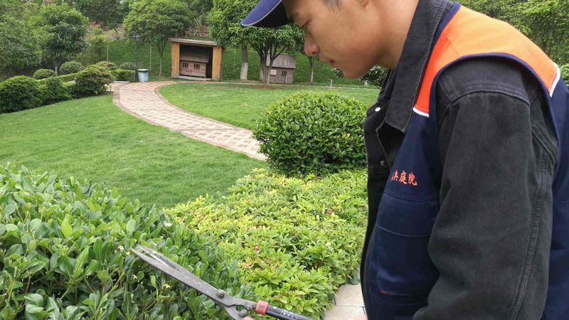办公楼智能垂直绿化系统：打造绿色生态新空间