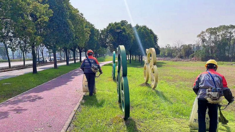 为了更好地选择教程，可以对比评测不同教程的优缺点。以下是一些对比评测的要点：
