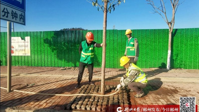 马尼拉草坪杂草防治用什么药效果好