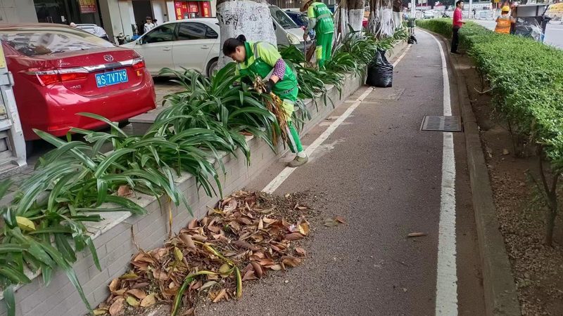 花园设计公司口碑排名：揭秘背后的考量因素