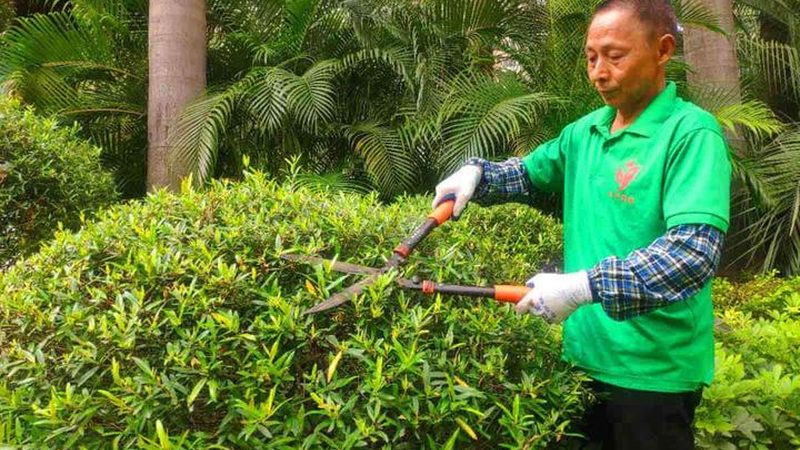 边坡绿化喷播植草：施工流程解析与注意事项