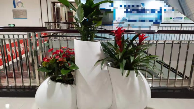 立体绿化：不只是美观，更是城市生态的革新