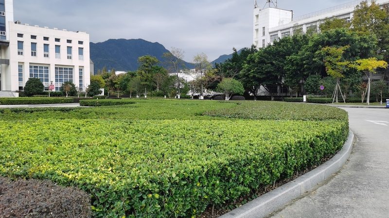 屋顶绿化草坪如何挑选，避免常见误区**